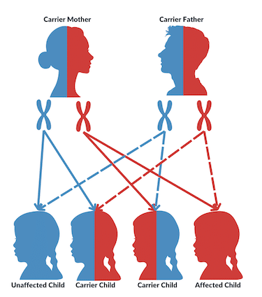 InheritanceGraphic